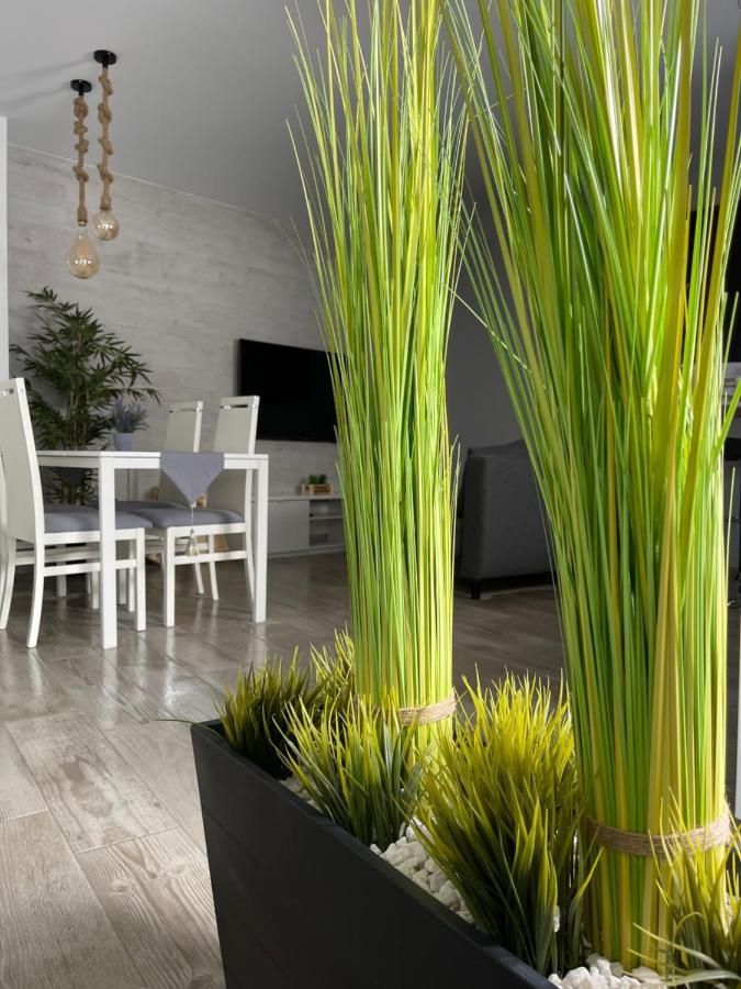 Apartamento Banferra Jerez de la Frontera Zewnętrze zdjęcie